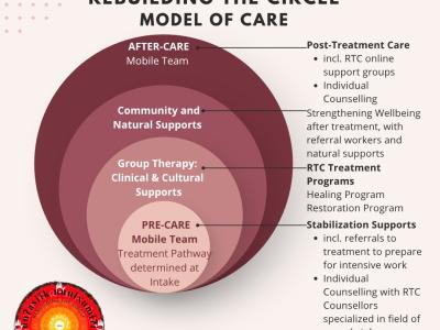 Model of Care Diagram